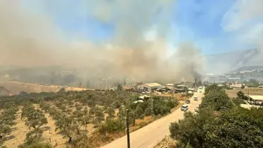 Hatay'da Orman Yangınına Müdahale