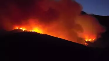 Hassa'da Orman Yangınına Müdahale