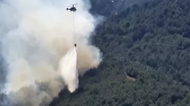 Hassa'da Orman Yangınına Müdahale Başladı