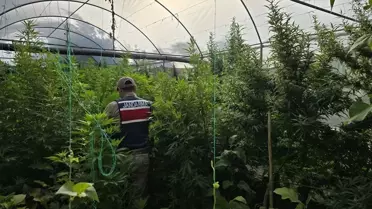 Samandağ'da Uyuşturucu Operasyonu