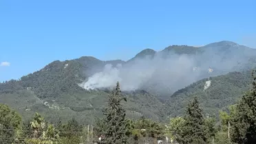Dörtyol'da Orman Yangını