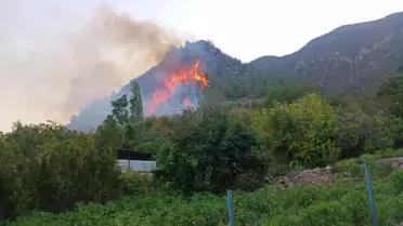 Kırıkhan'da Orman Yangını Kontrol Altına Alındı