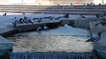 Tokat 47, Amasya 45 Derece: Sıcak Hava Etkili