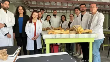 Yapay Zeka ile Veteriner Eğitimi