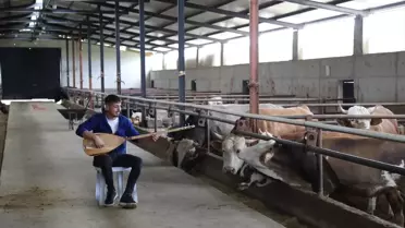 Müzik ve Tarım: Hayvanlarına Türkü Söyleyen Genç