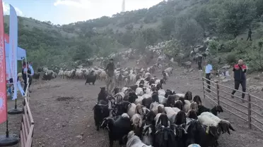 Şırnak'ta Veteriner Mobil Kontrol Noktaları Kuruldu