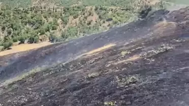Hizan'da Anız Yangını Kontrol Altına Alındı