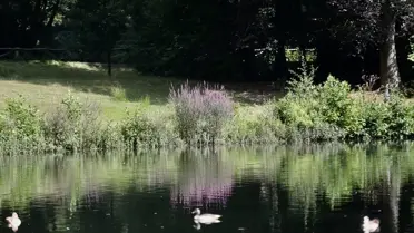 Arnhem'in Akciğeri: Park Sonsbeek