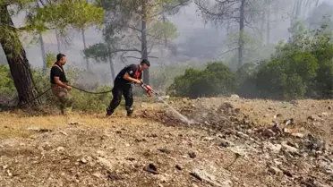İHH, Suriye'deki Orman Yangınlarına Müdahale Etti