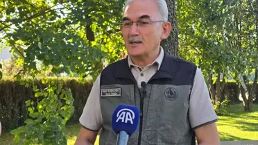 Orman Yangınları İnsana Bağlı