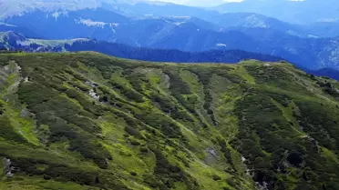 Ilgaz Dağı'nda Bahar Başladı