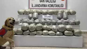 Başkale'de 97 Kg Uyuşturucu Ele Geçirildi