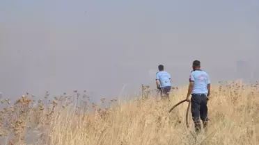 İslahiye'de Anız Yangını Kontrol Altına Alındı