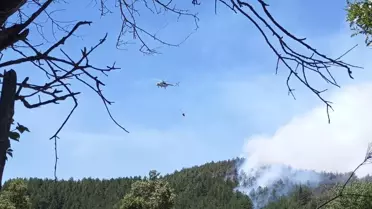 Isparta'da Orman Yangınına Müdahale