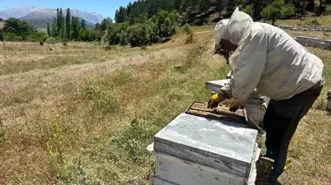 Isparta'da Bal Hasadı Hazırlıkları Başladı