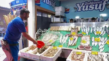 Balık Avı Sezonu Başladı