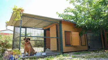 İzmir'de Yurt Dışından Talep Gören Köpek Oteli