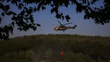 Gaziemir'de Orman Yangını Kontrol Altında