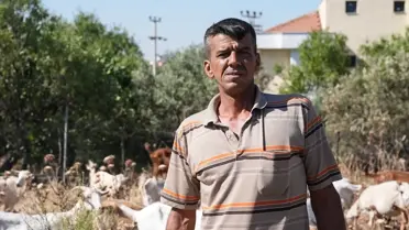 Izmir'de Orman Yangını Felaketi