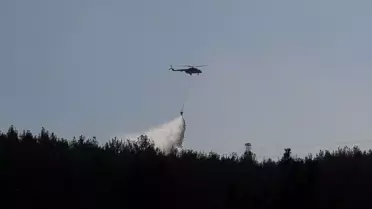 İzmir'de Orman Yangınına Müdahale Sürüyor