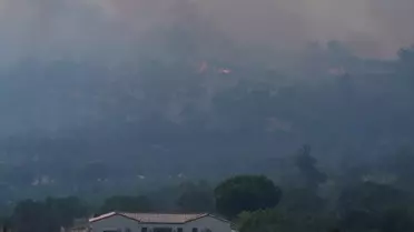 İzmir'de Orman Yangını: Müdahale Sürüyor