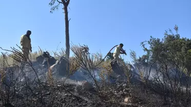 İzmir'de Orman Yangını Kontrol Altına Alındı