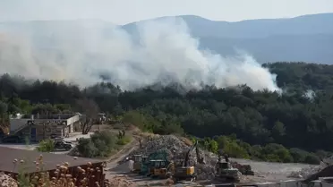 İzmir'de yine yangın çıktı! Urla'dan alevler yükseldi