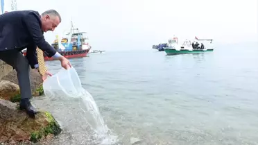İzmit Körfezi'nde Oksijen ve Balık Artışı