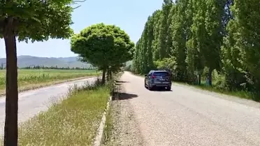 Dr. Sachihiro Omura'nın Adı Caddeye Verildi