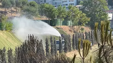Kağıthane'de Ağaçlık Alanda Yangın