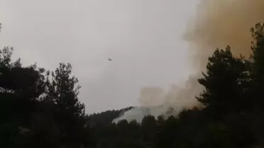 Kahramanmaraş'ta Orman Yangını