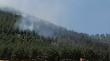 Kahramanmaraş'ta Orman Yangını