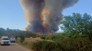 Karabük'te Orman Yangını