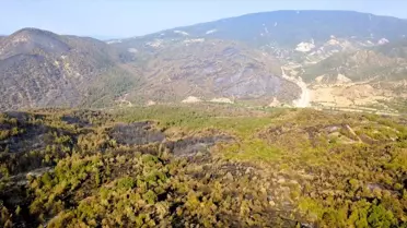 Karabük'te Orman Yangınları Kontrol Altında