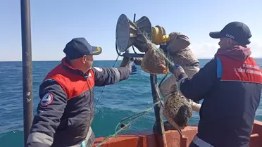 İğneada'da Kaçak Ağlar Toplandı