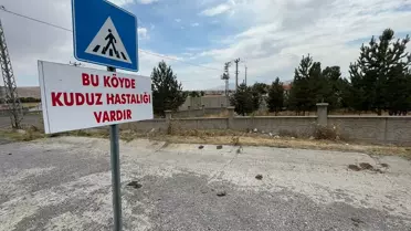 Kuduz Tehlikesi: Digor'da Karantina Başlatıldı