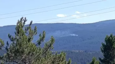 Taşköprü'de Orman Yangını Kontrol Altına Alındı
