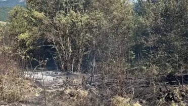 Kastamonu'da Orman Yangını Kontrol Altında