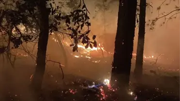 Kastamonu'da örtü yangını kontrol altına alındı