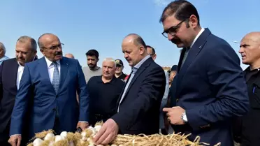 Taşköprü Sarımsağına İlgi