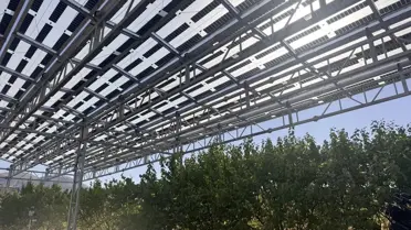 Güneş Enerjisi ile Kayısı Verimliliği Artıyor