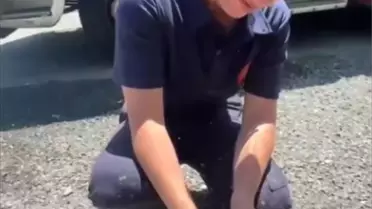Talas'ta Kaplumbağa Yangın Ekipleri Tarafından Kurtarıldı