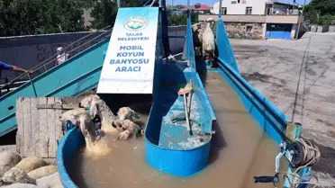 Kayseri'de Mobil Koyun Banyosu Uygulaması