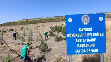 Kayseri'de Zabıta Haftası'na Fidan Dikimi