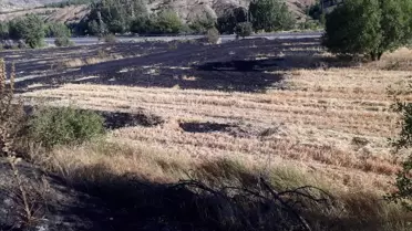 Keban'da Yangın Kontrol Altına Alındı