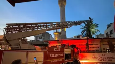 Kilis'te Ağaçta Mahsur Kalan Kedi Kurtarıldı