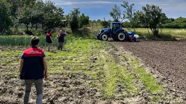 Pehlivanköy'de 'Aga' Mısır Çeşidi Deneme Alanı Kuruldu