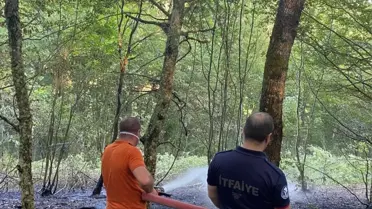 Kırklareli'nde Orman Yangını Kontrol Altında