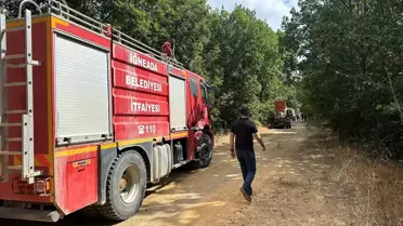 İğneada'da Orman Yangını Kontrol Altına Alındı