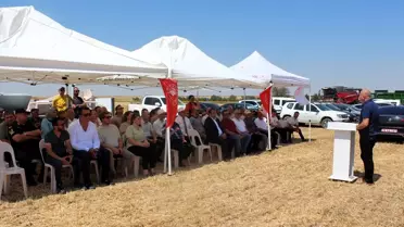 Kırklareli'nde Yerli Yulaf Hasadı Yapıldı